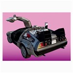 Delorean Large Glasses Cloth