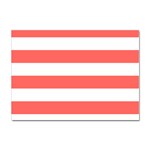 Horizontal Stripes - White and Pastel Red Sticker A4 (10 pack)