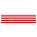 Horizontal Stripes - White and Red Satin Scarf (Oblong)