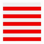 Horizontal Stripes - White and Red Medium Glasses Cloth