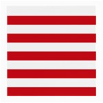 Horizontal Stripes - White and Fire Engine Red Medium Glasses Cloth (2 Sides)