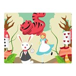 Through The Looking Glass Double Sided Flano Blanket (Mini)