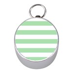 Horizontal Stripes - White and Celadon Green Silver Compass (Mini)