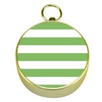 Horizontal Stripes - White and Dollar Bill Green Gold Compass