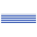 Horizontal Stripes - White and Cerulean Blue Satin Scarf (Oblong)