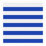 Horizontal Stripes - White and Cerulean Blue Medium Glasses Cloth (2 Sides)