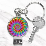 Psychedelic Rainbow Spiral Nail Clippers Key Chain