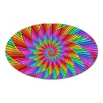 Psychedelic Rainbow Spiral Magnet (Oval)