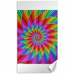 Psychedelic Rainbow Spiral Canvas 40  x 72 