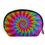 Psychedelic Rainbow Spiral Accessory Pouch (Large)