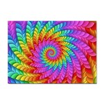 Psychedelic Rainbow Spiral Sticker A4 (10 pack)