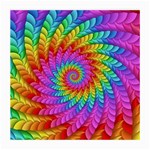 Psychedelic Rainbow Spiral Medium Glasses Cloth