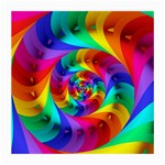 Psychedelic Rainbow Spiral Medium Glasses Cloth