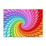 Psychedelic Rainbow Spiral Sticker A4 (10 pack)