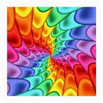 Psychedelic Rainbow Spiral Medium Glasses Cloth