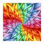 Psychedelic Rainbow Spiral Medium Glasses Cloth