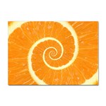 Spiral Citrus Orange Droste  Sticker A4 (10 pack)