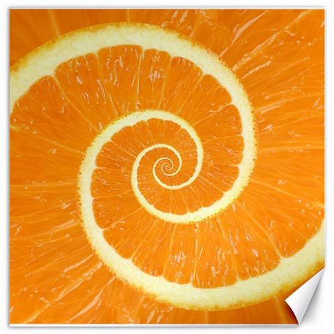 Spiral Citrus Orange Droste  Canvas 12  x 12  from ArtsNow.com 11.4 x11.56  Canvas - 1