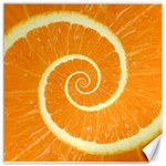 Spiral Citrus Orange Droste  Canvas 12  x 12 