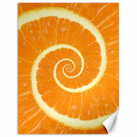 Spiral Citrus Orange Droste  Canvas 12  x 16  from ArtsNow.com 11.86 x15.41  Canvas - 1