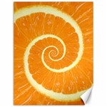 Spiral Citrus Orange Droste  Canvas 12  x 16 