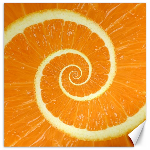 Spiral Citrus Orange Droste  Canvas 16  x 16  from ArtsNow.com 15.2 x15.41  Canvas - 1