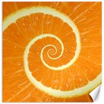 Spiral Citrus Orange Droste  Canvas 16  x 16 