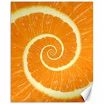 Spiral Citrus Orange Droste  Canvas 16  x 20 