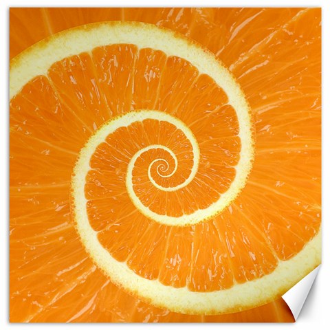 Spiral Citrus Orange Droste  Canvas 20  x 20  from ArtsNow.com 19 x19.27  Canvas - 1