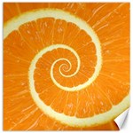 Spiral Citrus Orange Droste  Canvas 20  x 20 