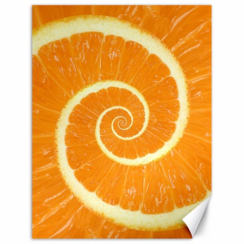 Spiral Citrus Orange Droste  Canvas 18  x 24  from ArtsNow.com 17.8 x23.08  Canvas - 1