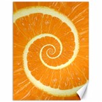 Spiral Citrus Orange Droste  Canvas 18  x 24 