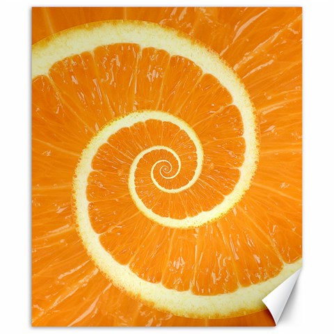 Spiral Citrus Orange Droste  Canvas 20  x 24  from ArtsNow.com 19.57 x23.15  Canvas - 1