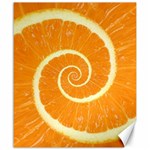 Spiral Citrus Orange Droste  Canvas 20  x 24 