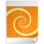 Spiral Citrus Orange Droste  Canvas 36  x 48 