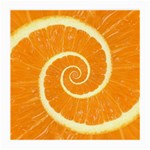 Spiral Citrus Orange Droste  Medium Glasses Cloth