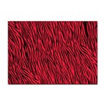 Red Zebra Stripes Sticker A4 (10 pack)