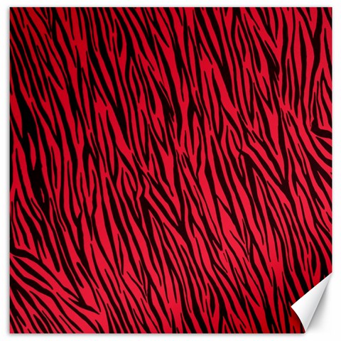 Red Zebra Stripes Canvas 12  x 12  from ArtsNow.com 11.4 x11.56  Canvas - 1