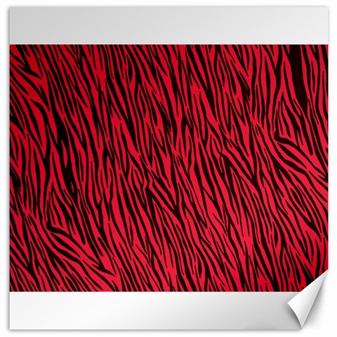 Red Zebra Stripes Canvas 20  x 20  from ArtsNow.com 19 x19.27  Canvas - 1