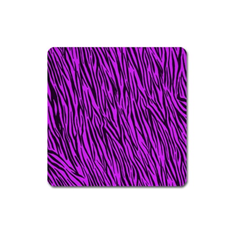 Purple Zebra Stripes Magnet (Square) from ArtsNow.com Front