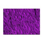 Purple Zebra Stripes Sticker A4 (10 pack)