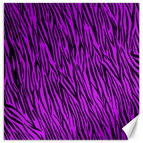 Purple Zebra Stripes Canvas 12  x 12  from ArtsNow.com 11.4 x11.56  Canvas - 1