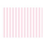 Vertical Stripes - White and Piggy Pink Double Sided Flano Blanket (Mini)