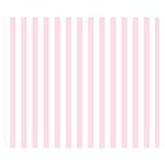 Vertical Stripes - White and Piggy Pink Double Sided Flano Blanket (Small)