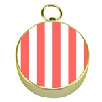 Vertical Stripes - White and Pastel Red Gold Compass