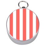 Vertical Stripes - White and Pastel Red Silver Compass