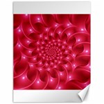 Glossy Rose Pink Spiral Fractal  Canvas 18  x 24 