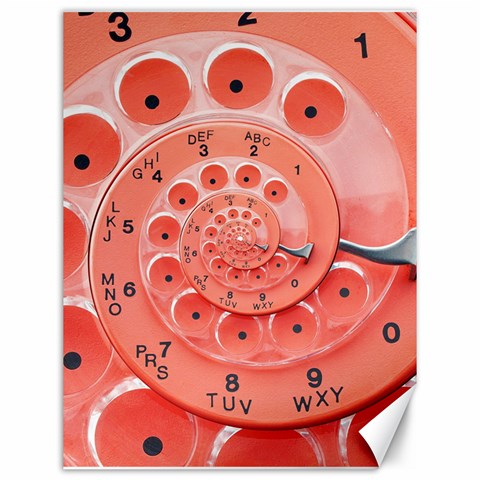 Apircot Orange Vintage Retro Rotary Dial Spiral Droste  Canvas 12  x 16  from ArtsNow.com 11.86 x15.41  Canvas - 1