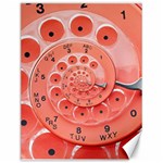 Apircot Orange Vintage Retro Rotary Dial Spiral Droste  Canvas 12  x 16 