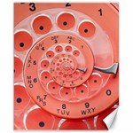 Apircot Orange Vintage Retro Rotary Dial Spiral Droste  Canvas 16  x 20 